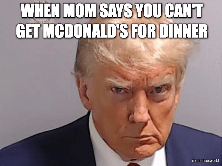 Trump McDonald’s dinner reaction meme preview